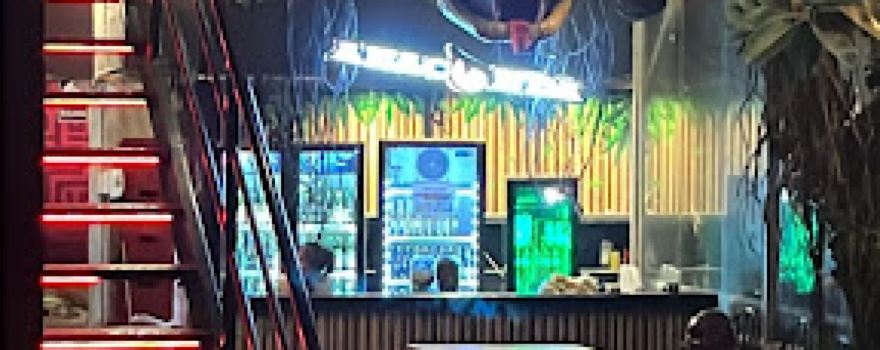 Anaconda Discoteca