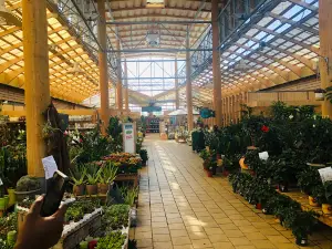 botanic Perpignan