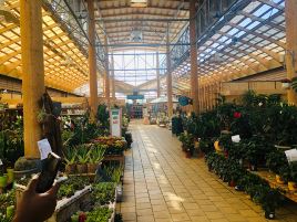 botanic Perpignan