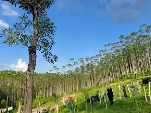 Titik Nol IKN Nusantara