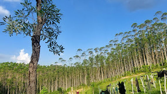 Titik Nol IKN Nusantara