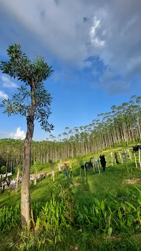 Titik Nol IKN Nusantara