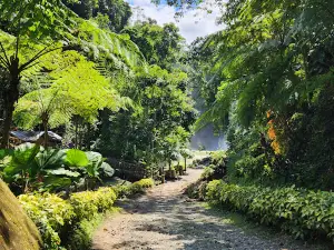 Seven Falls and Zipline