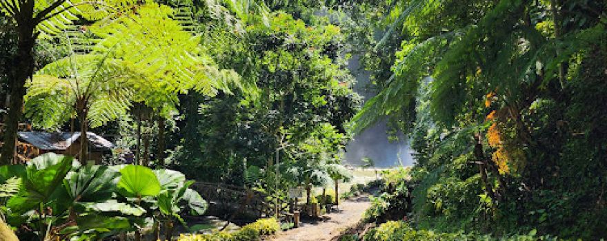 Seven Falls and Zipline