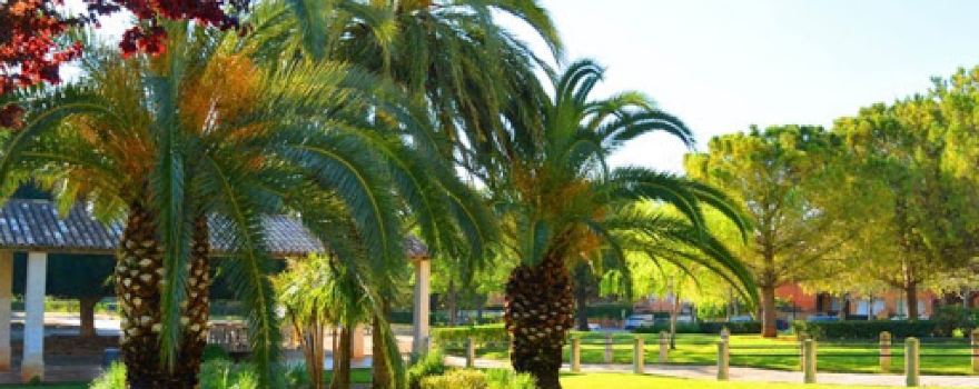 Parc Arabela