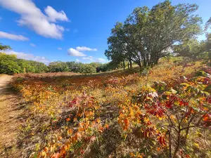 Jorgens Hollow Campground