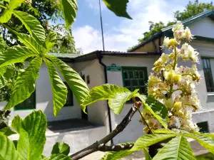 Muzey Nemyrovycha-Danchenka