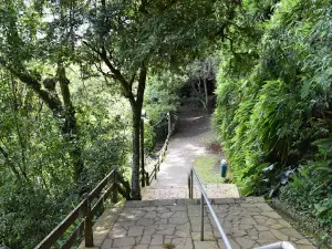 Gruta de Nossa Senhora de Lourdes de Itapuca