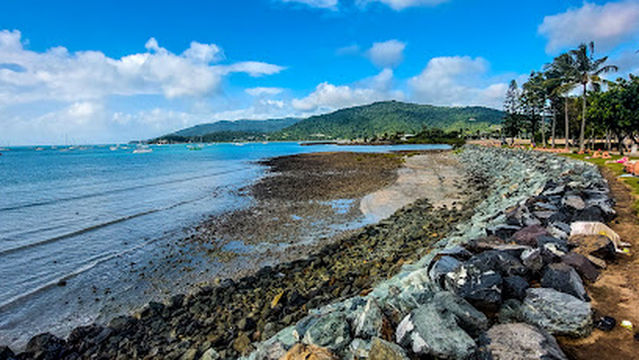 Whitsunday Saturday Markets