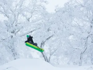 Niseko Hanazono Resort