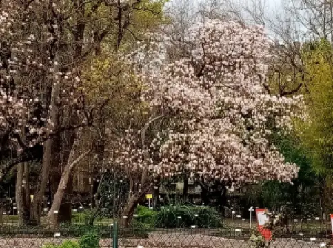 กิจกรรมในฤดูใบไม้ผลิยอดนิยมในบอร์กโดซ์