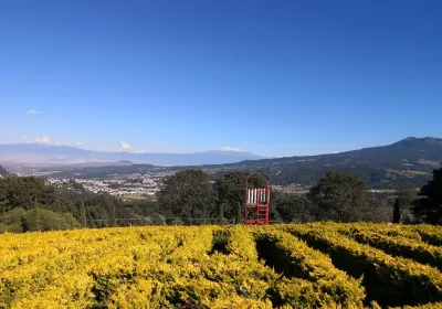 Tlalpan