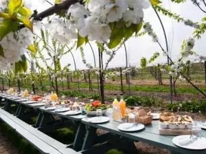 Craigie's Farm Deli and Cafe
