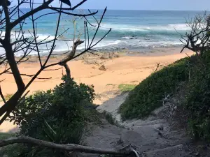 uMhlanga Lagoon Nature Reserve