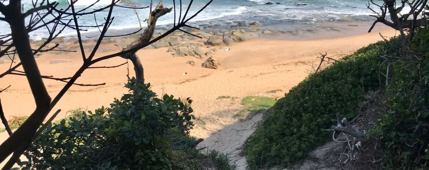 uMhlanga Lagoon Nature Reserve