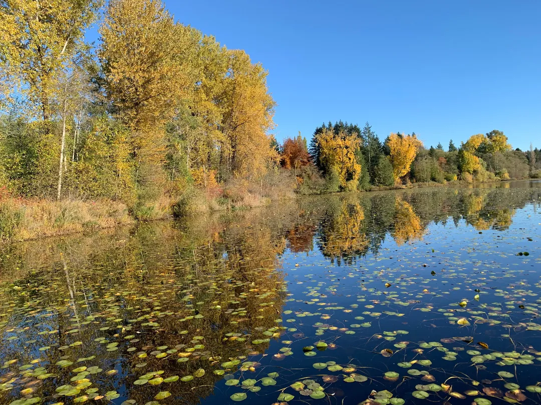 4_Deer Lake Park