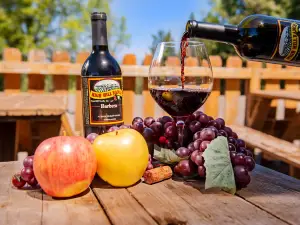 Apple Hill | High Hill Ranch