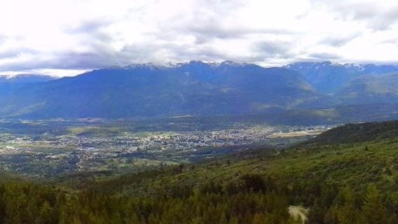 El Bosque Tallado Museo a Cielo Abierto