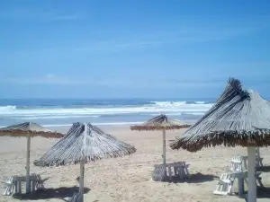Paisagem Protegida da Arriba Fóssil da Costa de Caparica