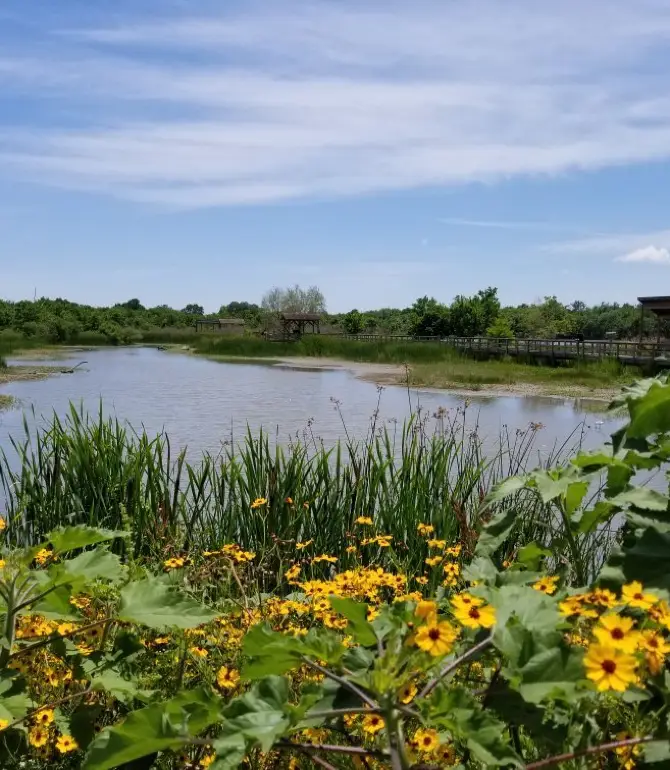 Lake Jackson