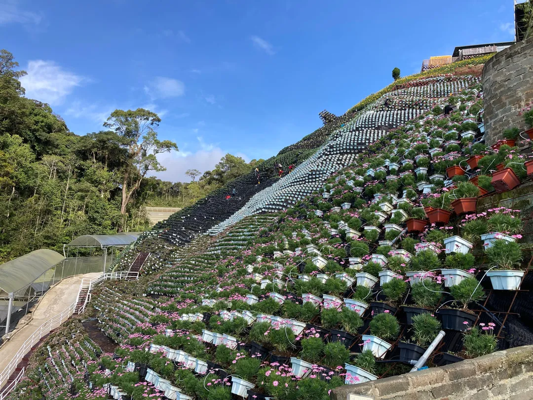 2_Cameron Highlands Flora Park