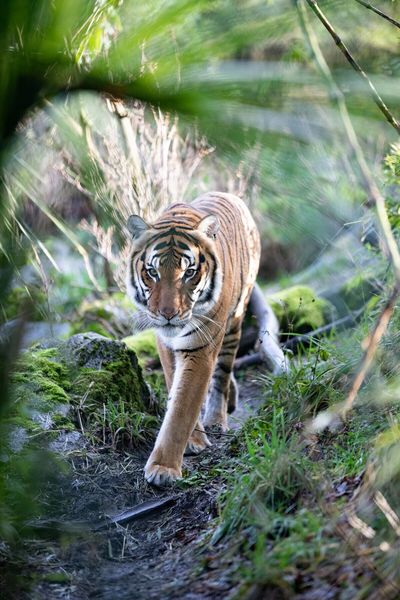 Woodland Park Zoo