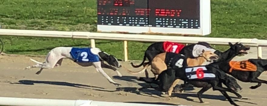 Coral Brighton & Hove Greyhound Stadium