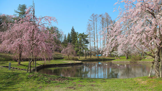 Yukyuzan Park