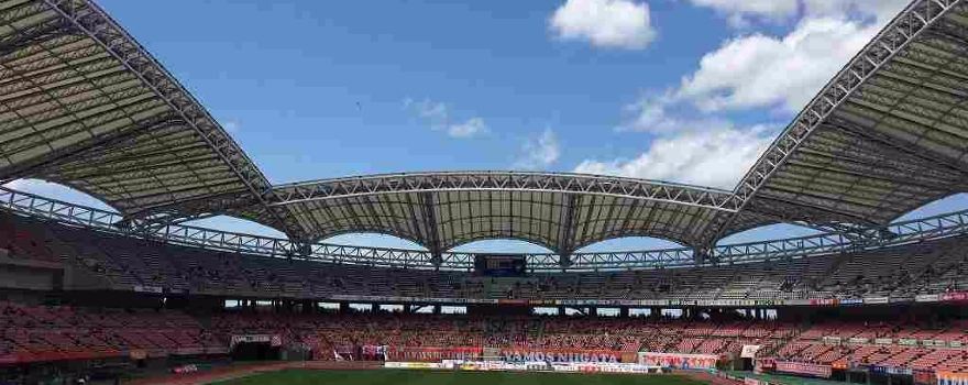 Denka Big Swan Stadium