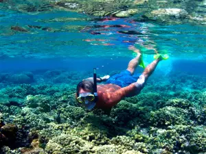 Ocean Frontiers Dive Shop