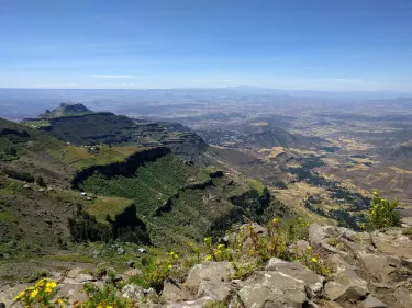 Amhara