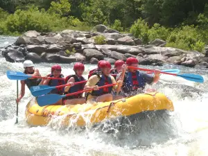 Quest Expeditions