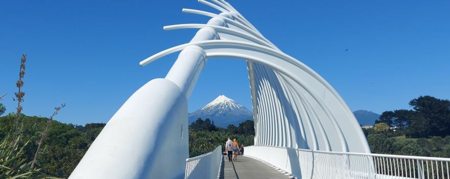 Te Rewa Rewa Bridge
