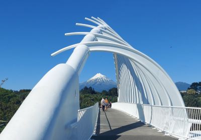 Puente Te Rewa Rewa