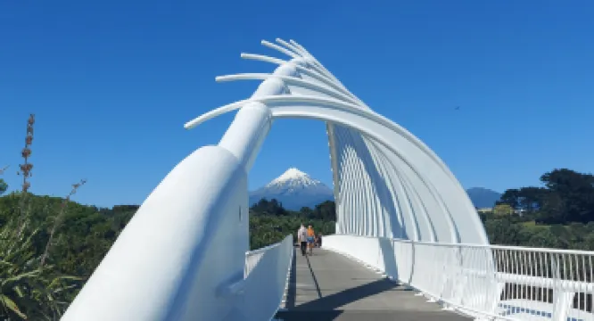 Te Rewa Rewa Bridge