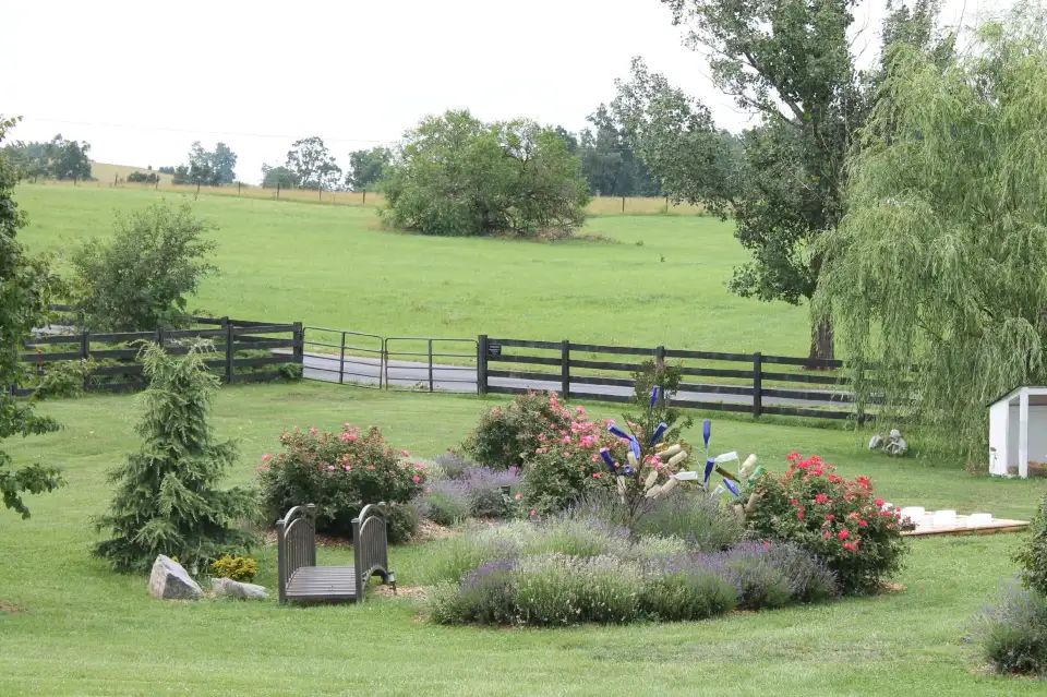 5_White Oak Lavender Farm