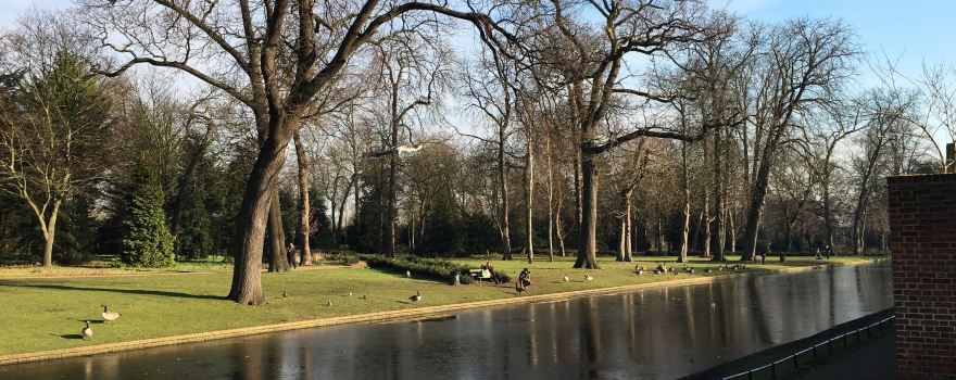 Valentines Park