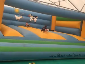 Blackwater Open Farm