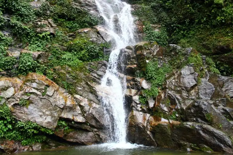 Pelling