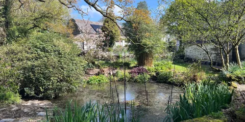 Llwyngarreg Garden