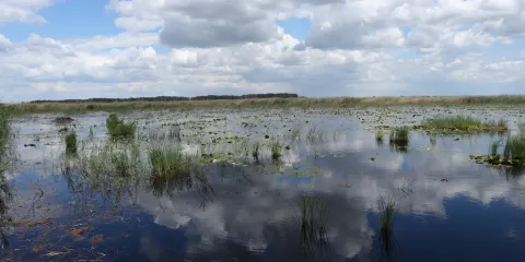 Kiskunsagi Nemzeti Park
