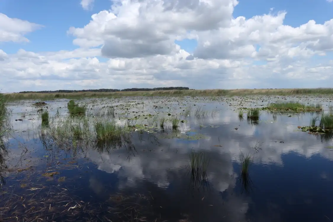 Hotels near Kiskunsagi Nemzeti Park