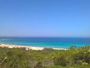 Naracu Nieddu Beach