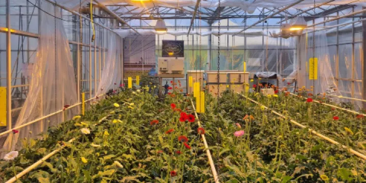 德洛赫特博物館