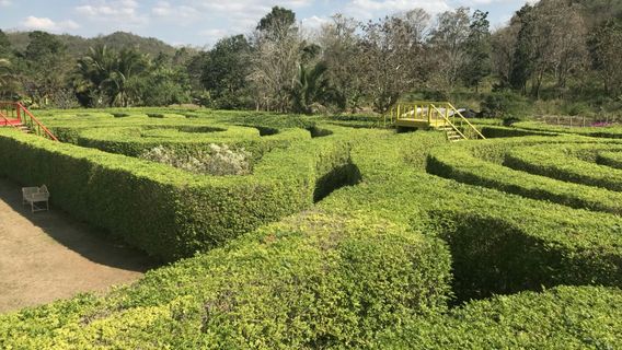 Distretto di Pak Chong
