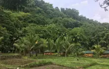 Camp Tipolo Adventureland