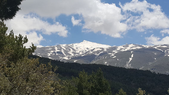 Hoya de Pedraza Botanical Garden