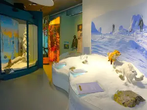 Pyhä-Luosto Visitor and Culture Center Naava