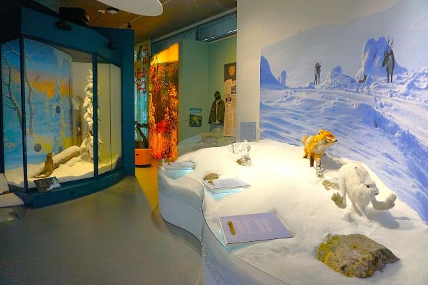 Pyhä-Luosto Visitor and Culture Center Naava
