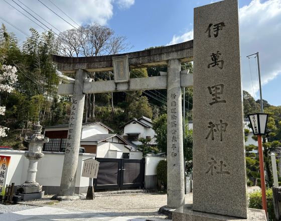 伊萬里市 自由行套票